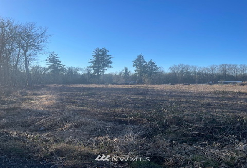 122 Hill Creek, Toledo, Washington 98591, ,Land,For Sale,Hill Creek,NWM1883138