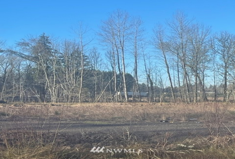 122 Hill Creek, Toledo, Washington 98591, ,Land,For Sale,Hill Creek,NWM1883138