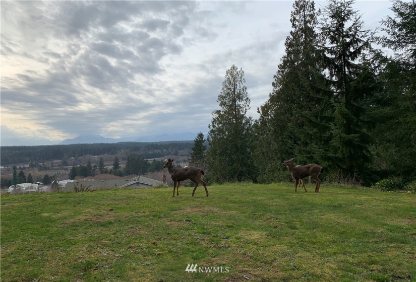 0 Misty Ridge, Silverdale, Washington 98383, ,Land,For Sale,Misty Ridge,NWM1883161