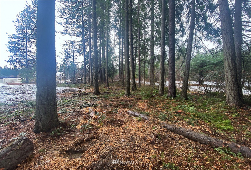 17993 River, Leavenworth, Washington 98826, ,Land,For Sale,River,NWM1883169