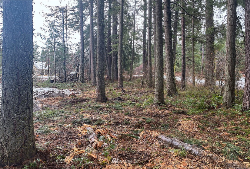 17993 River, Leavenworth, Washington 98826, ,Land,For Sale,River,NWM1883169