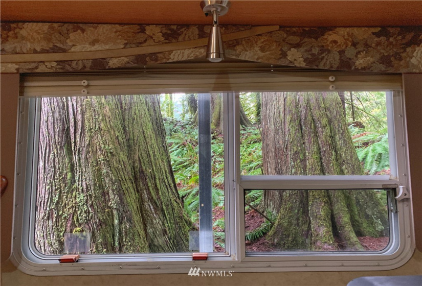 9500 Mt Baker Highway, Deming, Washington 98244, ,Land,For Sale,Mt Baker Highway,NWM1882621