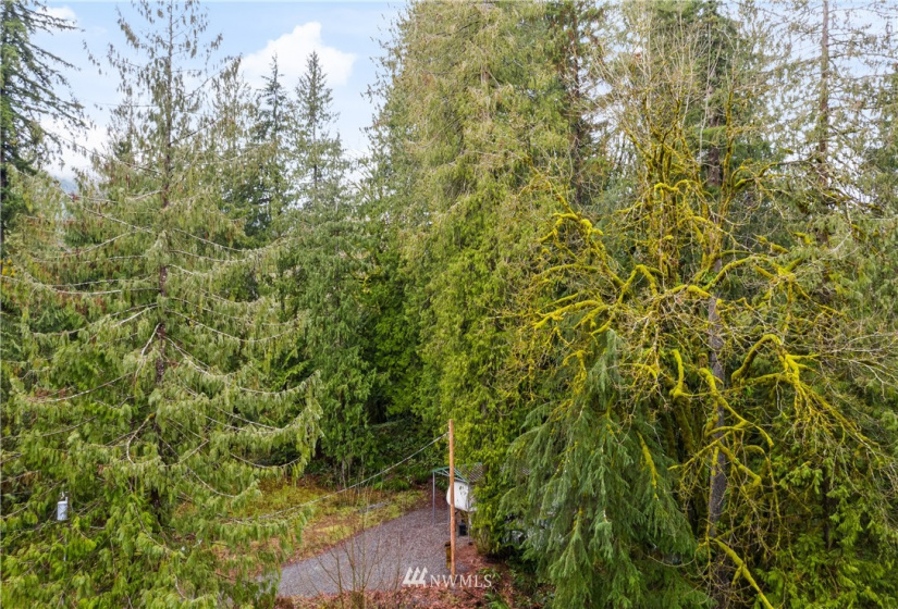 9500 Mt Baker Highway, Deming, Washington 98244, ,Land,For Sale,Mt Baker Highway,NWM1882621