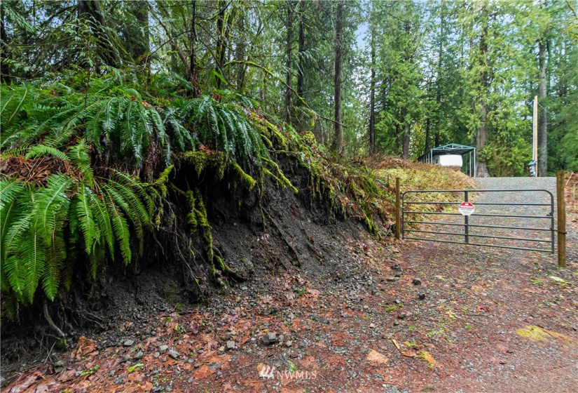 9500 Mt Baker Highway, Deming, Washington 98244, ,Land,For Sale,Mt Baker Highway,NWM1882621