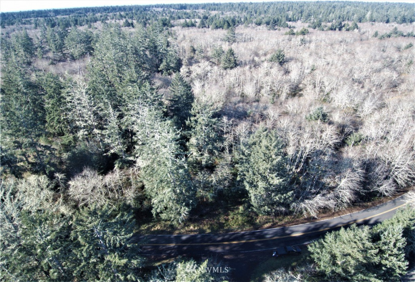 38807 Stackpole, Oysterville, Washington 98641, ,Land,For Sale,Stackpole,NWM1882932