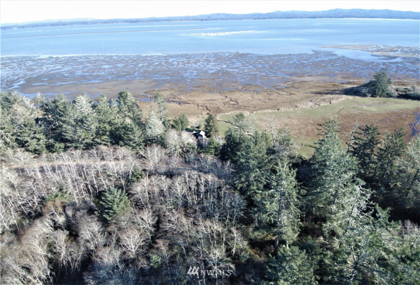 38807 Stackpole, Oysterville, Washington 98641, ,Land,For Sale,Stackpole,NWM1882932