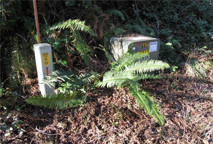 38807 Stackpole, Oysterville, Washington 98641, ,Land,For Sale,Stackpole,NWM1882932