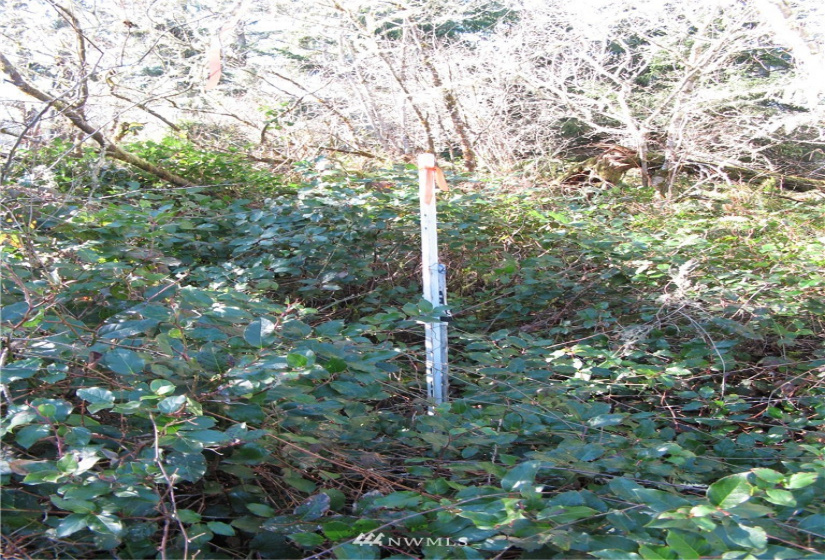 38807 Stackpole, Oysterville, Washington 98641, ,Land,For Sale,Stackpole,NWM1882932