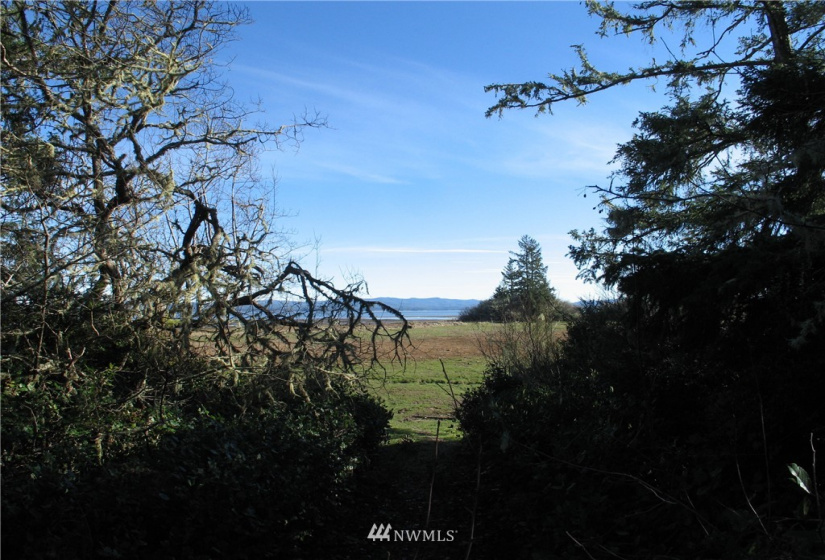 38807 Stackpole, Oysterville, Washington 98641, ,Land,For Sale,Stackpole,NWM1882932