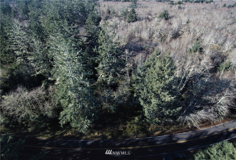 38807 Stackpole, Oysterville, Washington 98641, ,Land,For Sale,Stackpole,NWM1882932