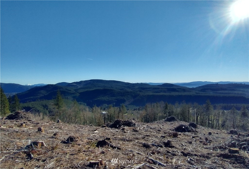 0 State Route 508, Onalaska, Washington 98570, ,Land,For Sale,State Route 508,NWM1881591