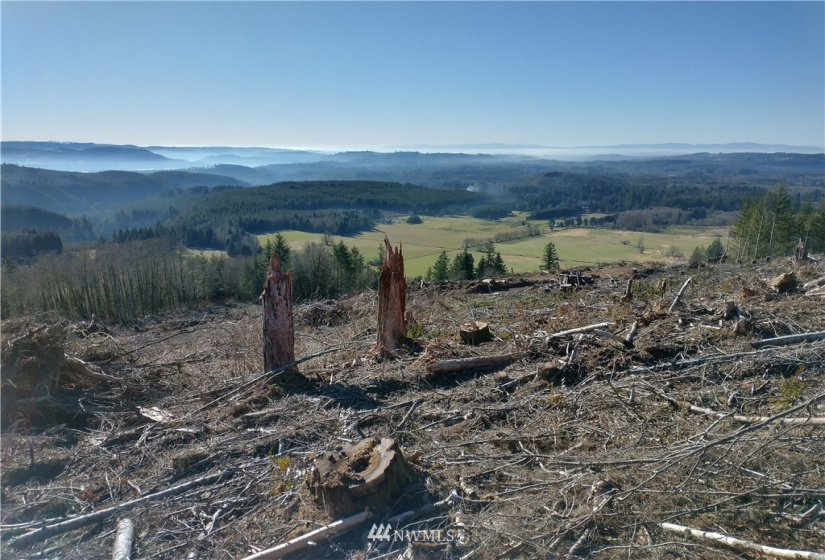 0 State Route 508, Onalaska, Washington 98570, ,Land,For Sale,State Route 508,NWM1881591