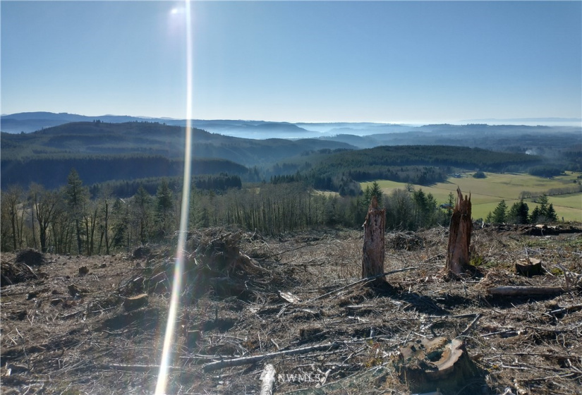 0 State Route 508, Onalaska, Washington 98570, ,Land,For Sale,State Route 508,NWM1881591