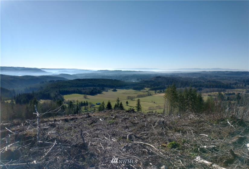 0 State Route 508, Onalaska, Washington 98570, ,Land,For Sale,State Route 508,NWM1881591