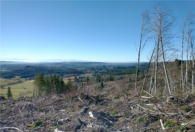 0 State Route 508, Onalaska, Washington 98570, ,Land,For Sale,State Route 508,NWM1881591