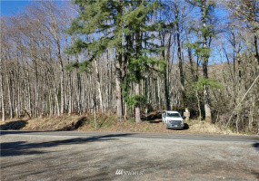 0 State Route 508, Onalaska, Washington 98570, ,Land,For Sale,State Route 508,NWM1881591