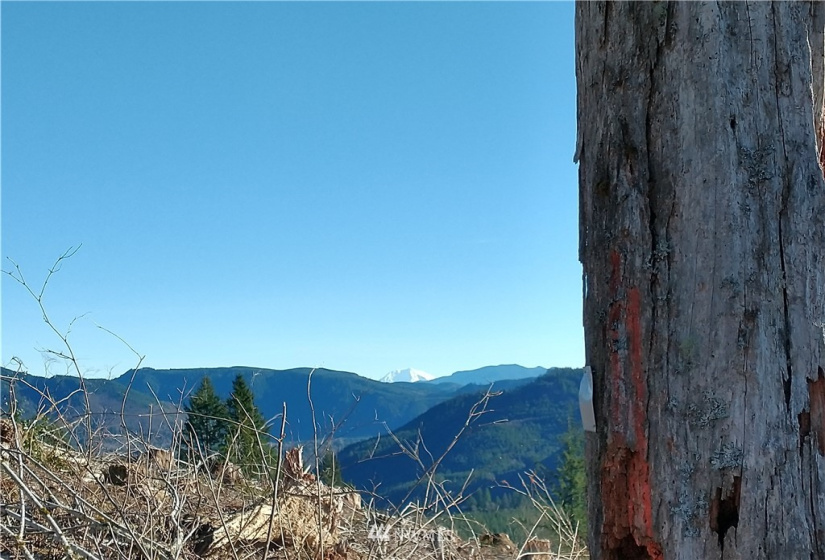 0 State Route 508, Onalaska, Washington 98570, ,Land,For Sale,State Route 508,NWM1881591