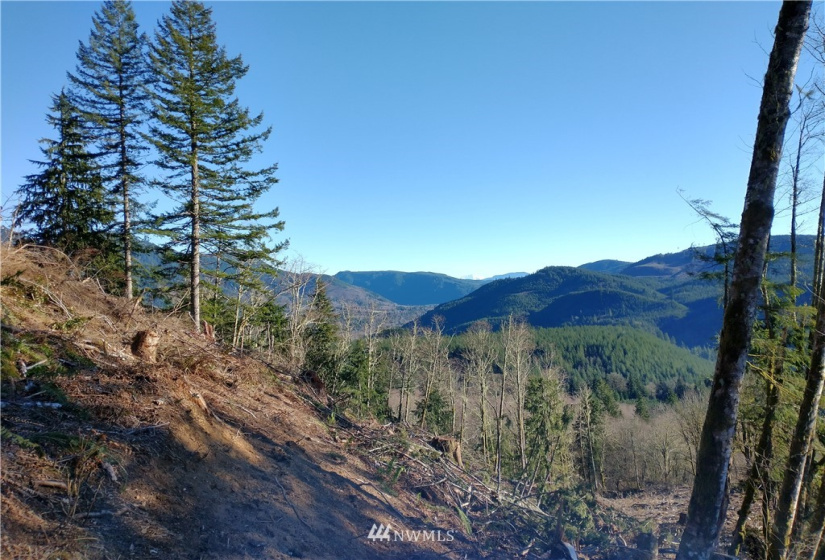 0 State Route 508, Onalaska, Washington 98570, ,Land,For Sale,State Route 508,NWM1881591