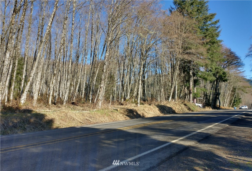 0 State Route 508, Onalaska, Washington 98570, ,Land,For Sale,State Route 508,NWM1881591