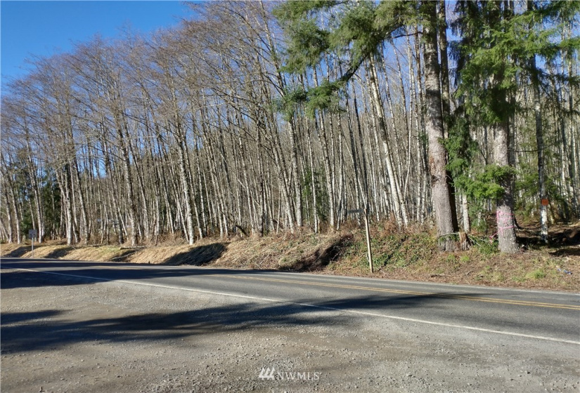 0 State Route 508, Onalaska, Washington 98570, ,Land,For Sale,State Route 508,NWM1881591