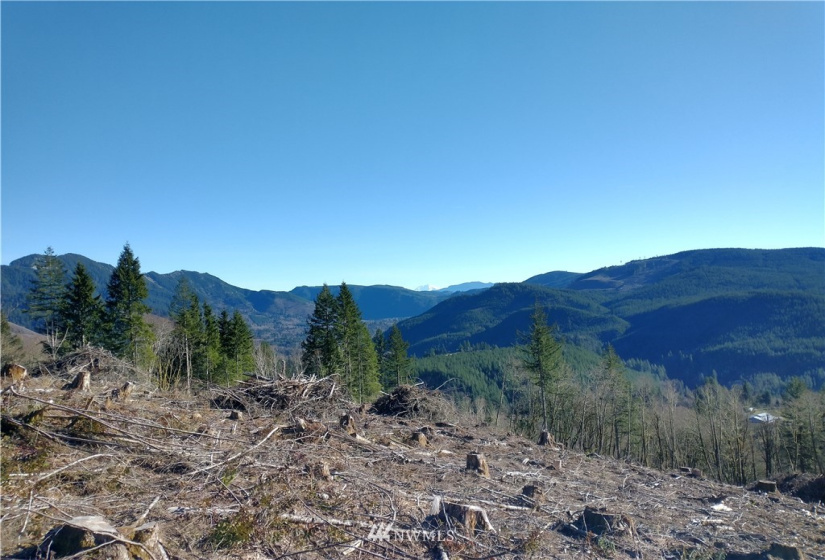 0 State Route 508, Onalaska, Washington 98570, ,Land,For Sale,State Route 508,NWM1881591