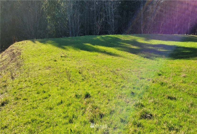 0 Ammons, Longview, Washington 98632, ,Land,For Sale,Ammons,NWM1881717