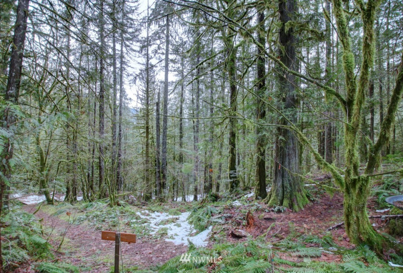 33 3 River View, Deming, Washington 98244, 1 Bedroom Bedrooms, ,1 BathroomBathrooms,Residential,For Sale,River View,NWM1879484