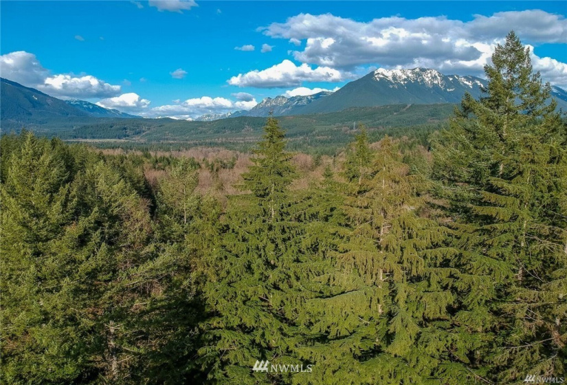 44 XXX Edgewick, North Bend, Washington 98045, ,Land,For Sale,Edgewick,NWM1883245