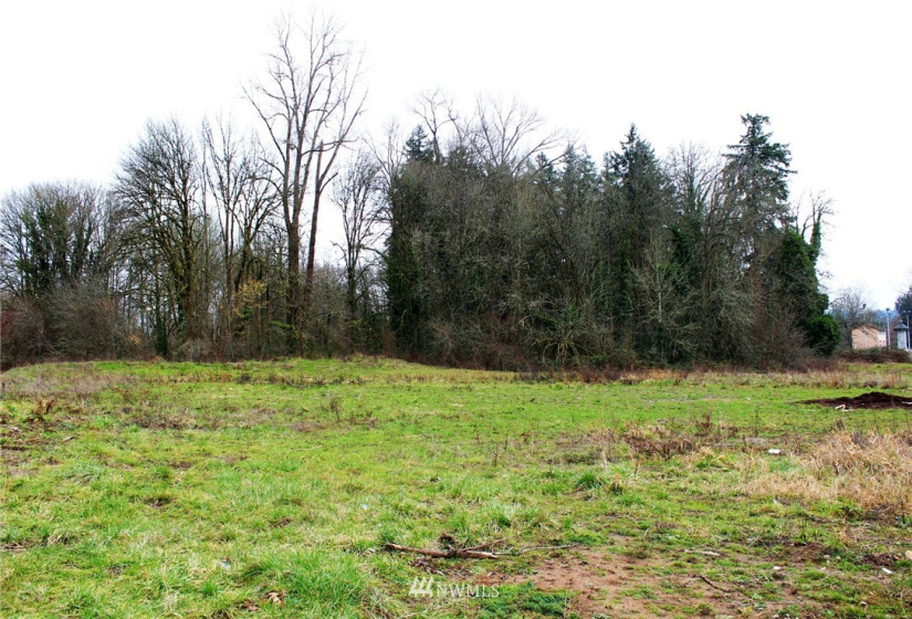 202 High, Centralia, Washington 98531, ,Land,For Sale,High,NWM1882646