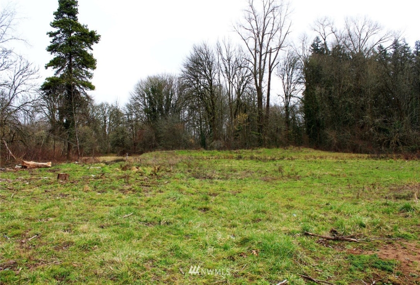 202 High, Centralia, Washington 98531, ,Land,For Sale,High,NWM1882646
