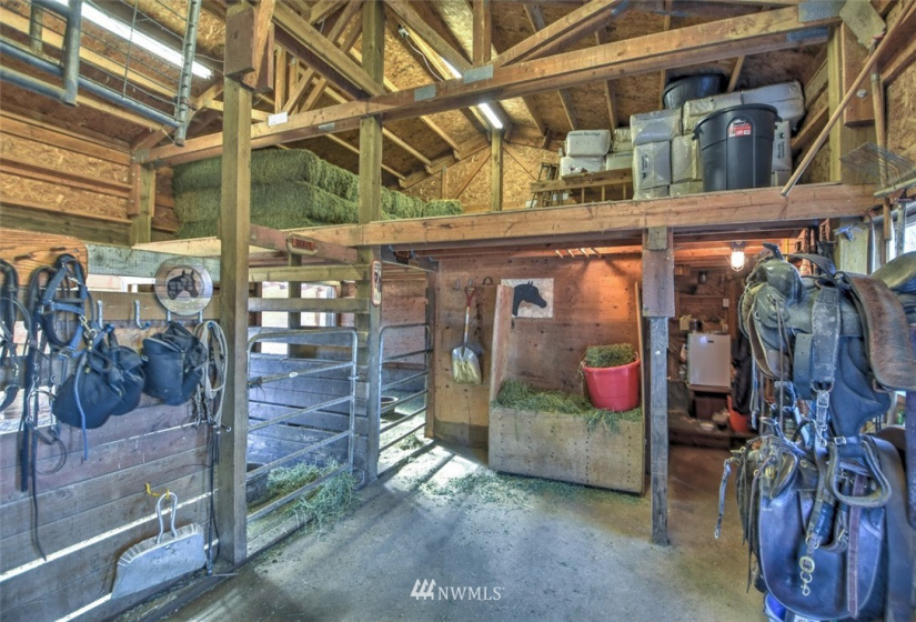 20 Jacalyn, Grayland, Washington 98547, 3 Bedrooms Bedrooms, ,1 BathroomBathrooms,Residential,For Sale,Jacalyn,NWM1881833