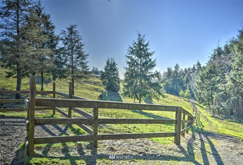 20 Jacalyn, Grayland, Washington 98547, 3 Bedrooms Bedrooms, ,1 BathroomBathrooms,Residential,For Sale,Jacalyn,NWM1881833