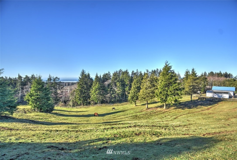 20 Jacalyn, Grayland, Washington 98547, 3 Bedrooms Bedrooms, ,1 BathroomBathrooms,Residential,For Sale,Jacalyn,NWM1881833