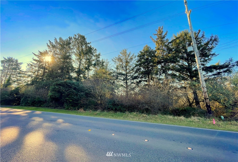 651 Dolphin, Ocean Shores, Washington 98569, ,Land,For Sale,3,Dolphin,NWM1883241