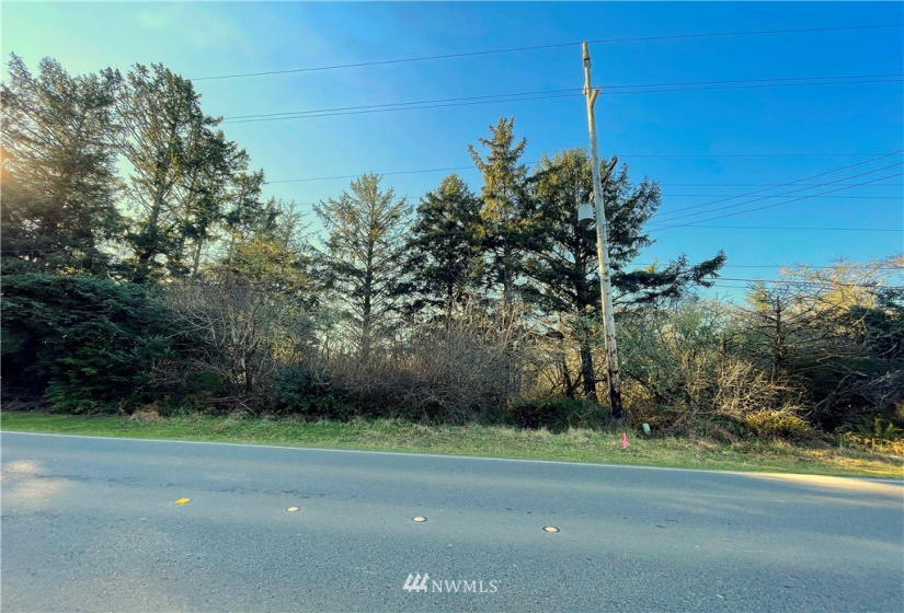 651 Dolphin, Ocean Shores, Washington 98569, ,Land,For Sale,3,Dolphin,NWM1883241
