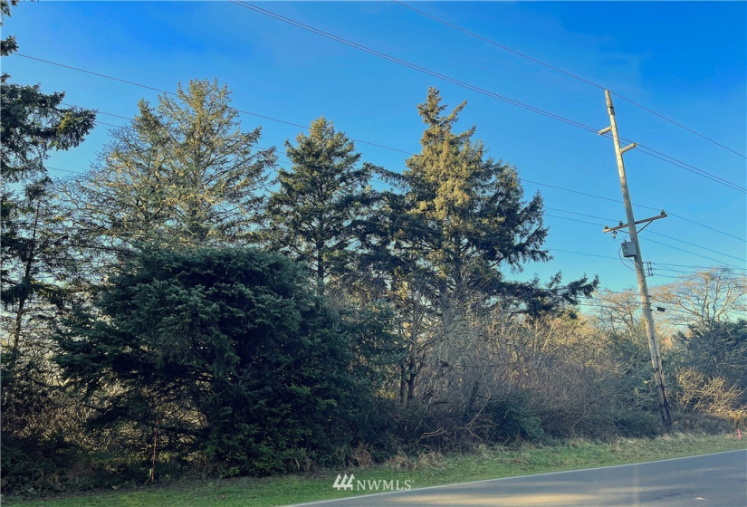 651 Dolphin, Ocean Shores, Washington 98569, ,Land,For Sale,3,Dolphin,NWM1883241