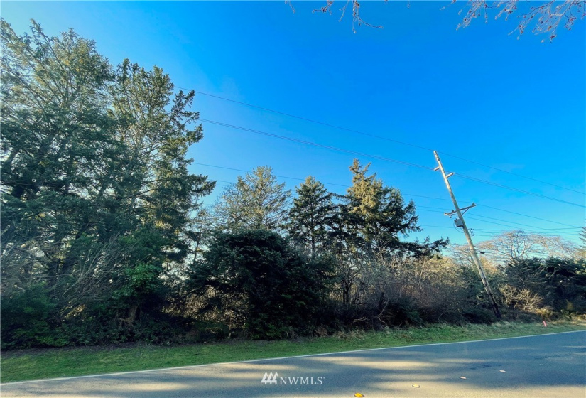 651 Dolphin, Ocean Shores, Washington 98569, ,Land,For Sale,3,Dolphin,NWM1883241