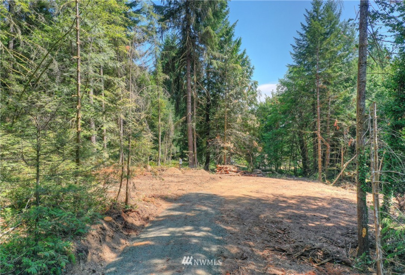 9402 Waddell Creek, Olympia, Washington 98512, ,Land,For Sale,Waddell Creek,NWM1883298