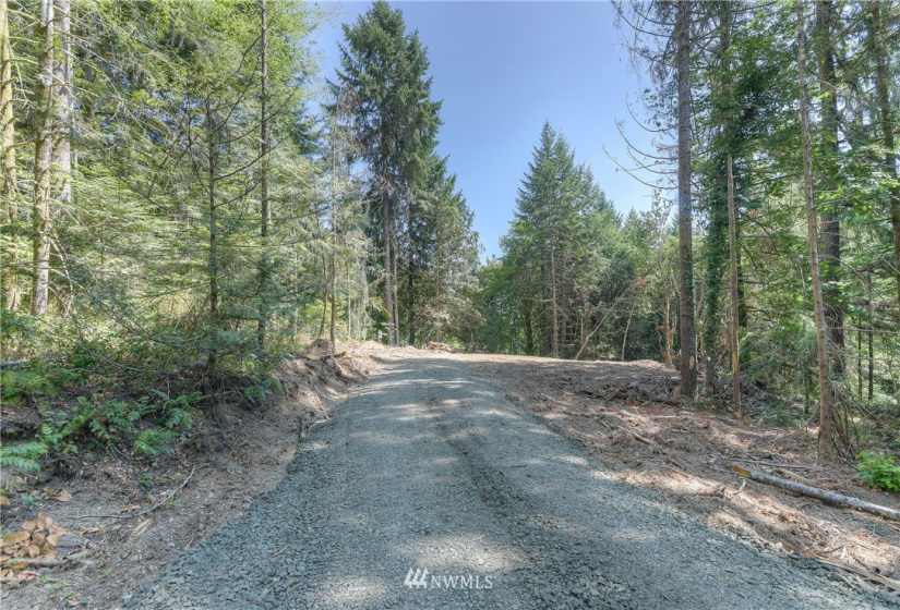 9402 Waddell Creek, Olympia, Washington 98512, ,Land,For Sale,Waddell Creek,NWM1883298