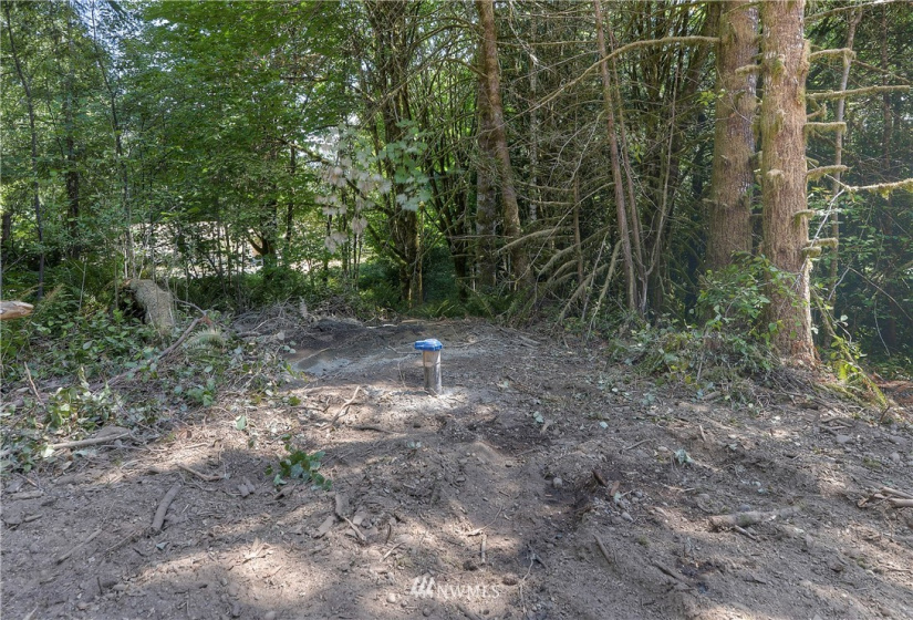 9402 Waddell Creek, Olympia, Washington 98512, ,Land,For Sale,Waddell Creek,NWM1883298
