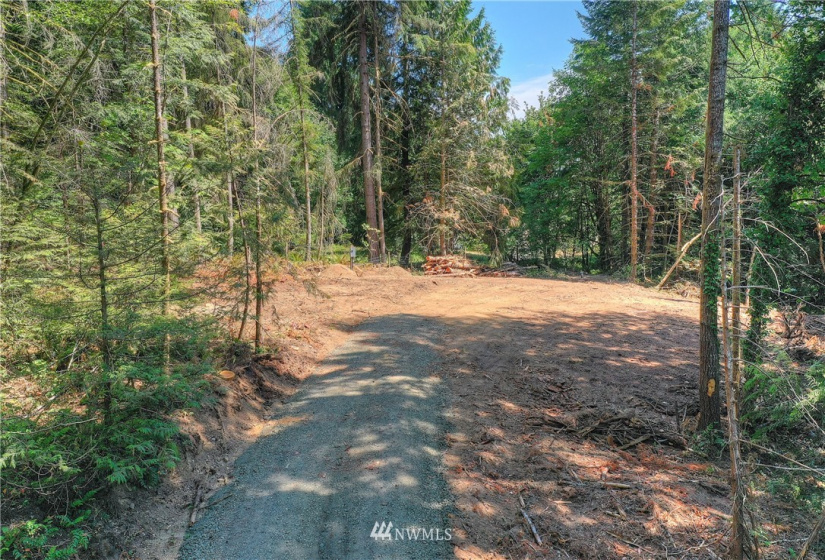 9402 Waddell Creek, Olympia, Washington 98512, ,Land,For Sale,Waddell Creek,NWM1883298