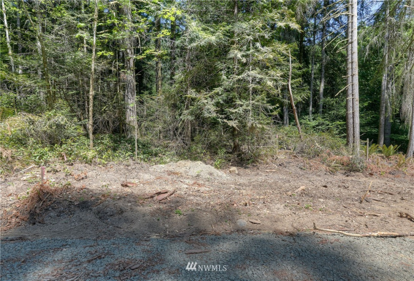 9402 Waddell Creek, Olympia, Washington 98512, ,Land,For Sale,Waddell Creek,NWM1883298