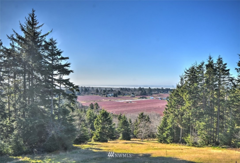 0 XXX McDonald Tracts, Grayland, Washington 98547, ,Land,For Sale,McDonald Tracts,NWM1881861