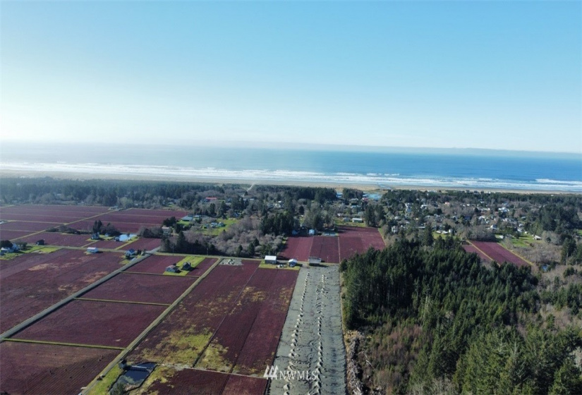 0 XXX McDonald Tracts, Grayland, Washington 98547, ,Land,For Sale,McDonald Tracts,NWM1881861