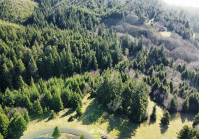 0 XXX McDonald Tracts, Grayland, Washington 98547, ,Land,For Sale,McDonald Tracts,NWM1881861