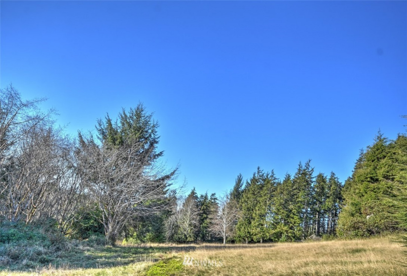 0 XXX McDonald Tracts, Grayland, Washington 98547, ,Land,For Sale,McDonald Tracts,NWM1881861