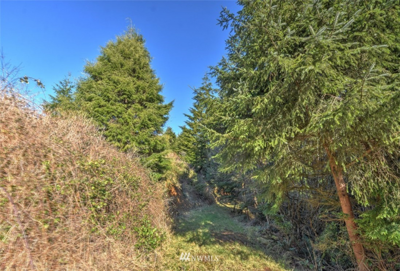 0 XXX McDonald Tracts, Grayland, Washington 98547, ,Land,For Sale,McDonald Tracts,NWM1881861