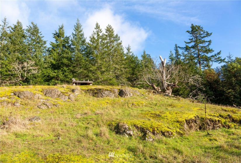 0 Mt. Dallas, San Juan Island, Washington 98250, ,Land,For Sale,Manfred C. Vernon,Mt. Dallas,NWM1883361