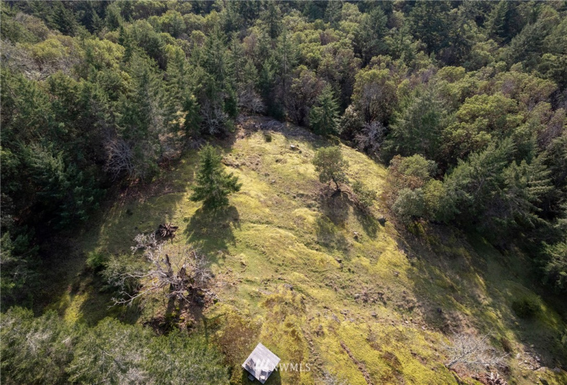 0 Mt. Dallas, San Juan Island, Washington 98250, ,Land,For Sale,Manfred C. Vernon,Mt. Dallas,NWM1883361