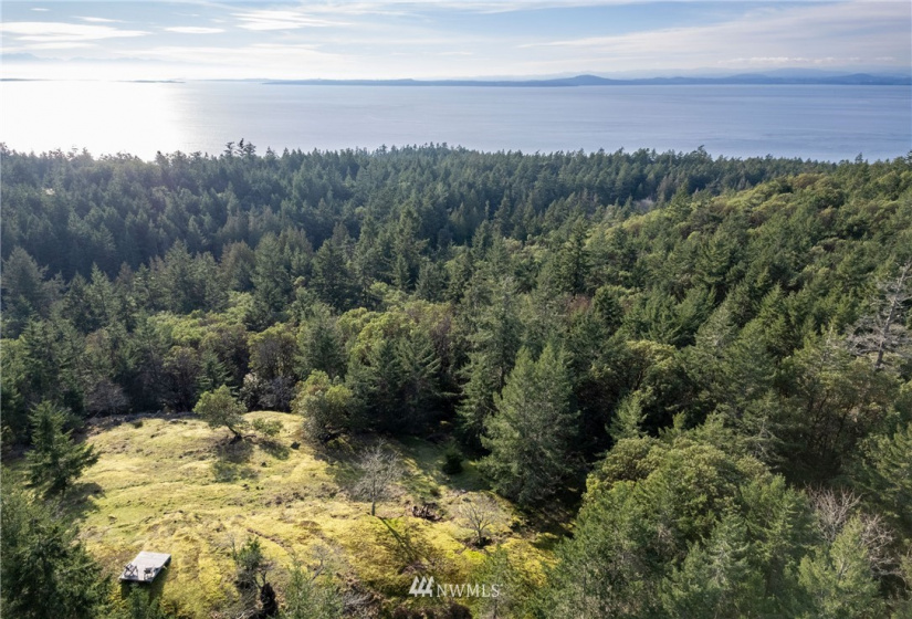 0 Mt. Dallas, San Juan Island, Washington 98250, ,Land,For Sale,Manfred C. Vernon,Mt. Dallas,NWM1883361
